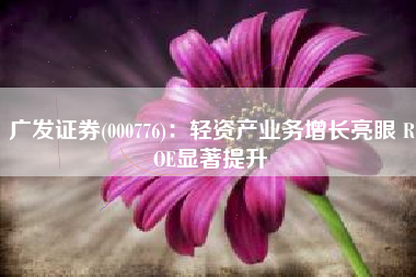 广发证券(000776)：轻资产业务增长亮眼 ROE显著提升