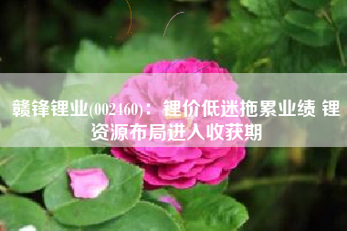 赣锋锂业(002460)：锂价低迷拖累业绩 锂资源布局进入收获期