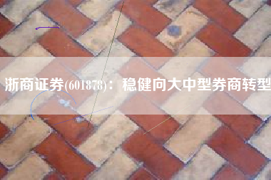 浙商证券(601878)：稳健向大中型券商转型