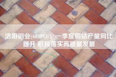 洛阳钼业(603993)：一季度铜钴产量同比提升 积极落实高质量发展