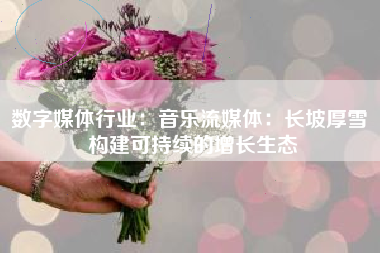 数字媒体行业：音乐流媒体：长坡厚雪 构建可持续的增长生态