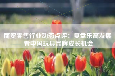 商贸零售行业动态点评：复盘乐高发展 看中国玩具品牌成长机会