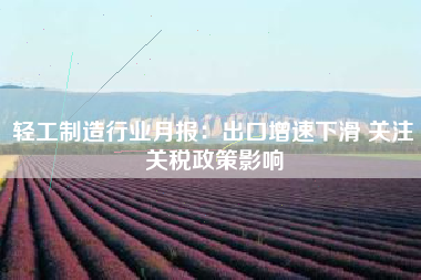 轻工制造行业月报：出口增速下滑 关注关税政策影响