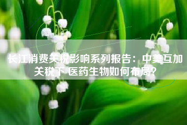 长江消费关税影响系列报告：中美互加关税下 医药生物如何布局？