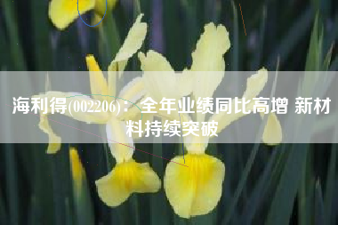 海利得(002206)：全年业绩同比高增 新材料持续突破