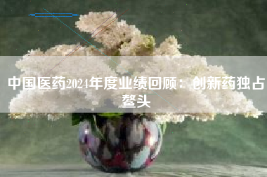 中国医药2024年度业绩回顾：创新药独占鳌头