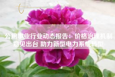 公用事业行业动态报告：价格治理机制意见出台 助力新型电力系统转型