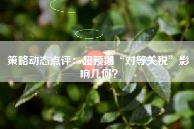 策略动态点评：超预期“对等关税”影响几何？