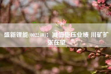 盛新锂能(002240)：减值施压业绩 川矿扩张在望