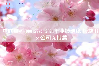 中联重科(000157)：2024年业绩维稳 板块Β×公司Α持续