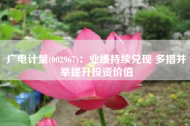 广电计量(002967)：业绩持续兑现 多措并举提升投资价值