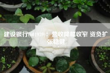 建设银行(601939)：营收降幅收窄 资负扩张稳健