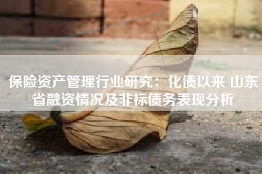 保险资产管理行业研究：化债以来 山东省融资情况及非标债务表现分析