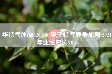 华特气体(688268)：电子特气竞争加剧 2024年业绩增长8.0%