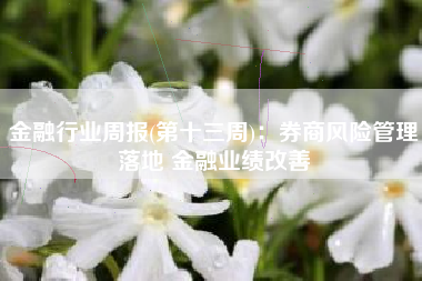 金融行业周报(第十三周)：券商风险管理落地 金融业绩改善