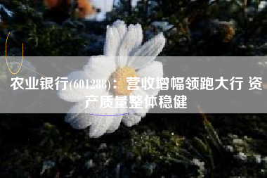 农业银行(601288)：营收增幅领跑大行 资产质量整体稳健