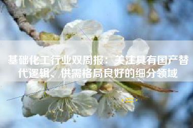 基础化工行业双周报：关注具有国产替代逻辑、供需格局良好的细分领域