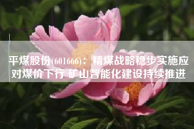 平煤股份(601666)：精煤战略稳步实施应对煤价下行 矿山智能化建设持续推进