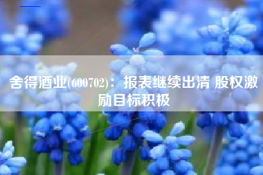 舍得酒业(600702)：报表继续出清 股权激励目标积极