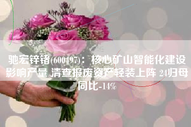 驰宏锌锗(600497)：核心矿山智能化建设影响产量 清查报废资产轻装上阵 24归母同比-14%