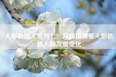 人形机器人系列七：从应用侧看人形机器人的发展变化