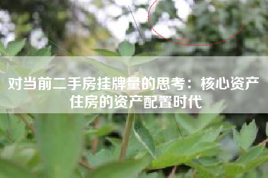 对当前二手房挂牌量的思考：核心资产 住房的资产配置时代