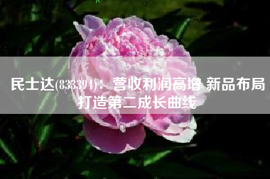 民士达(833394)：营收利润高增 新品布局打造第二成长曲线