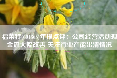 福莱特(601865)年报点评：公司经营活动现金流大幅改善 关注行业产能出清情况
