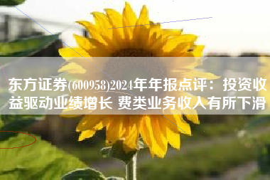 东方证券(600958)2024年年报点评：投资收益驱动业绩增长 费类业务收入有所下滑