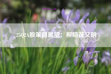 25Q2A股策略展望：柳暗花又明