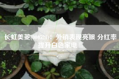 长虹美菱(000521)：外销表现亮眼 分红率提升白色家电Ⅲ