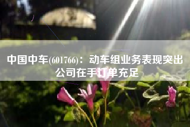 中国中车(601766)：动车组业务表现突出 公司在手订单充足