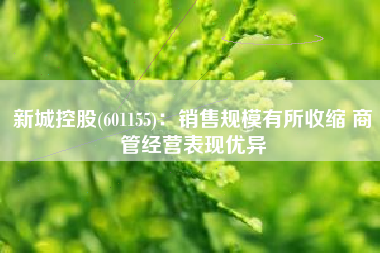 新城控股(601155)：销售规模有所收缩 商管经营表现优异