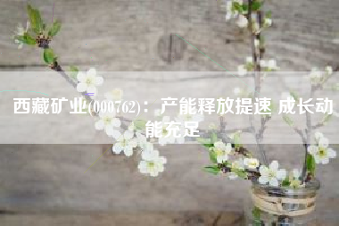 西藏矿业(000762)：产能释放提速 成长动能充足