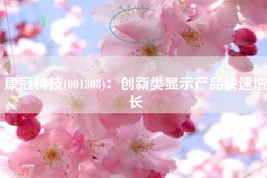 康冠科技(001308)：创新类显示产品快速增长