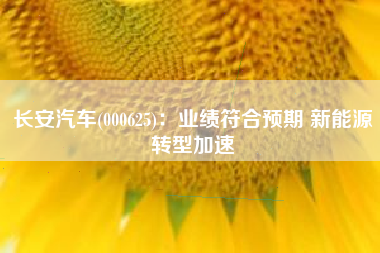 长安汽车(000625)：业绩符合预期 新能源转型加速