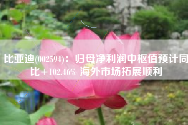 比亚迪(002594)：归母净利润中枢值预计同比+102.46% 海外市场拓展顺利