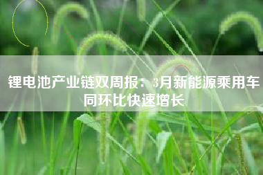 锂电池产业链双周报：3月新能源乘用车同环比快速增长