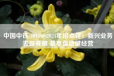 中国中铁(601390)2024年报点评：新兴业务表现亮眼 基本盘稳健经营