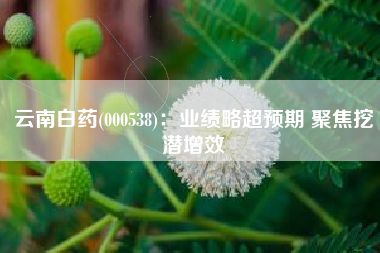云南白药(000538)：业绩略超预期 聚焦挖潜增效