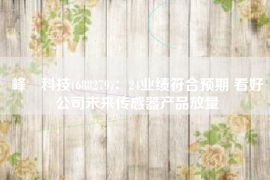 峰岹科技(688279)：24业绩符合预期 看好公司未来传感器产品放量