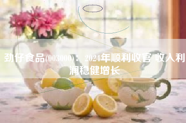 劲仔食品(003000)：2024年顺利收官 收入利润稳健增长