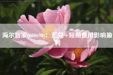 海尔智家(600690)：汇兑+短期费用影响盈利