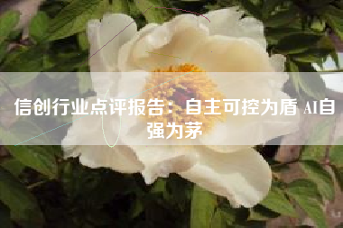 信创行业点评报告：自主可控为盾 AI自强为茅