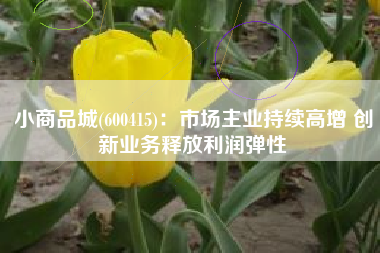 小商品城(600415)：市场主业持续高增 创新业务释放利润弹性