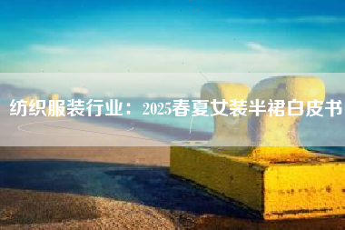 纺织服装行业：2025春夏女装半裙白皮书