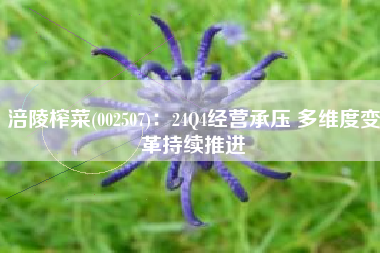 涪陵榨菜(002507)：24Q4经营承压 多维度变革持续推进
