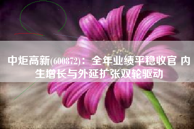 中炬高新(600872)：全年业绩平稳收官 内生增长与外延扩张双轮驱动