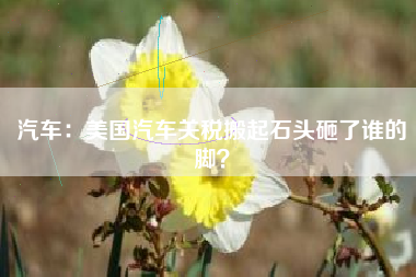 汽车：美国汽车关税搬起石头砸了谁的脚？