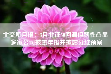 北交所月报：3月北证50回调但韧性凸显 多家公司披露年报并披露分红预案